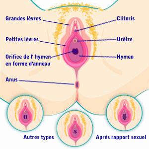 sexe feminin xxx sexe vidéo sexe feminin xxx sexe vidéo