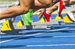 Les activités sportives Les activités sportives