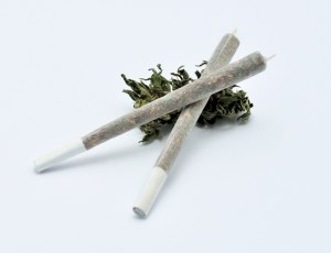 joint