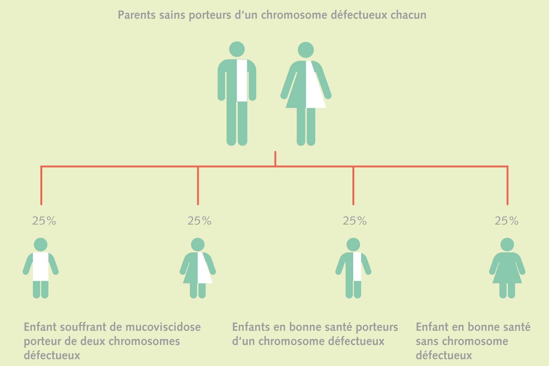 Mucoviscidose | Fil santé jeunes