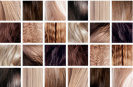 Les cheveux Les cheveux