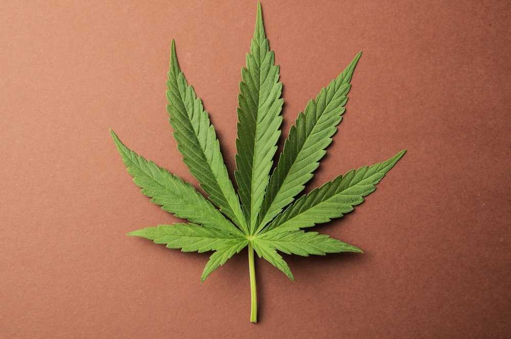 Qu'est-ce que le cannabis ? | Fil santé jeunes