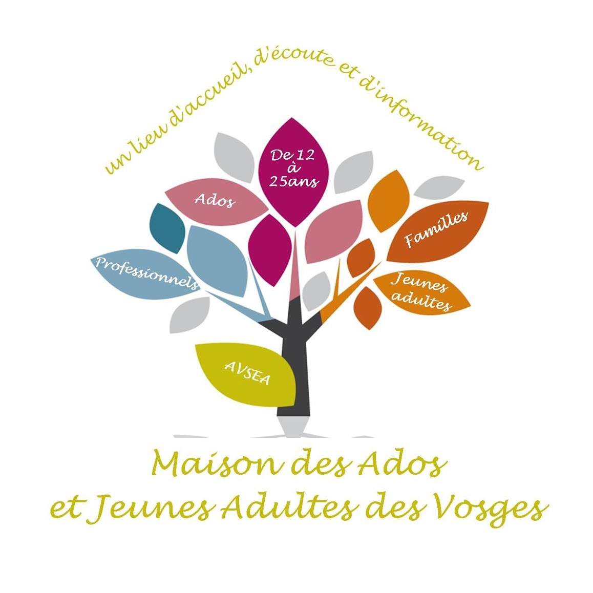 MDAJA Epinal - Maison Des Adolescents et des Jeunes Adultes des Vosges