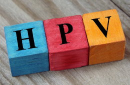 Human Papilloma Virus (HPV) Human Papilloma Virus (HPV)